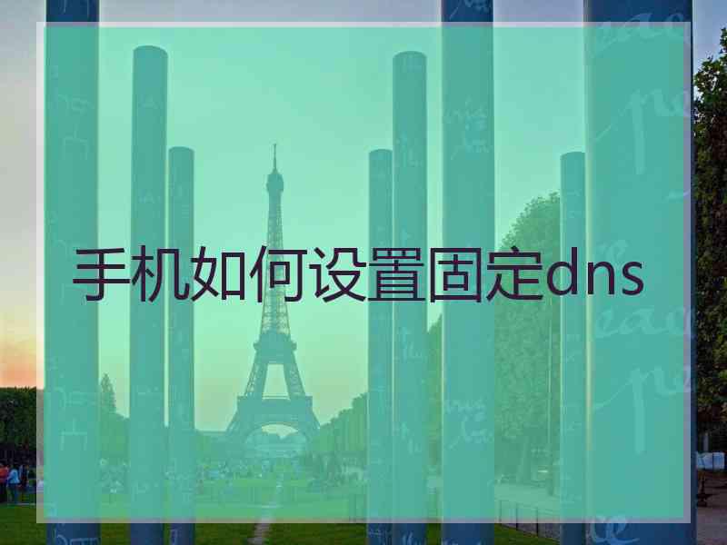 手机如何设置固定dns