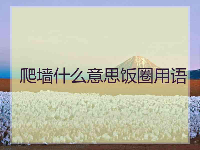 爬墙什么意思饭圈用语