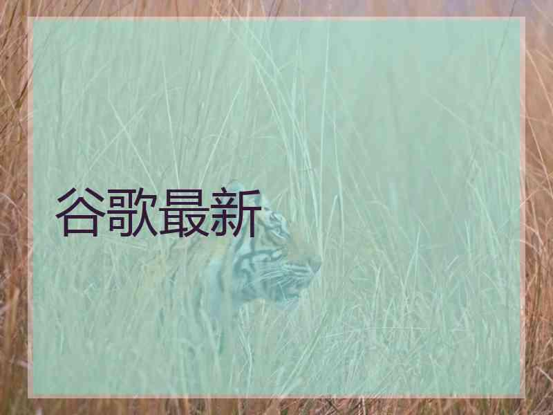 谷歌最新
