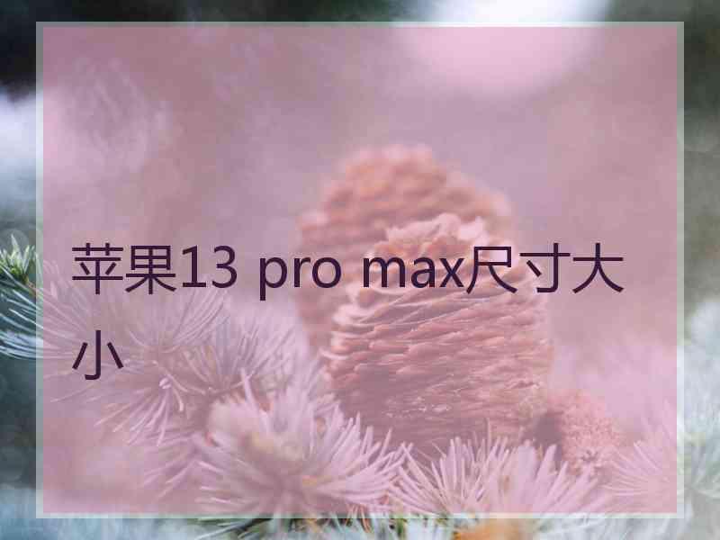 苹果13 pro max尺寸大小