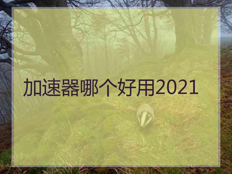 加速器哪个好用2021