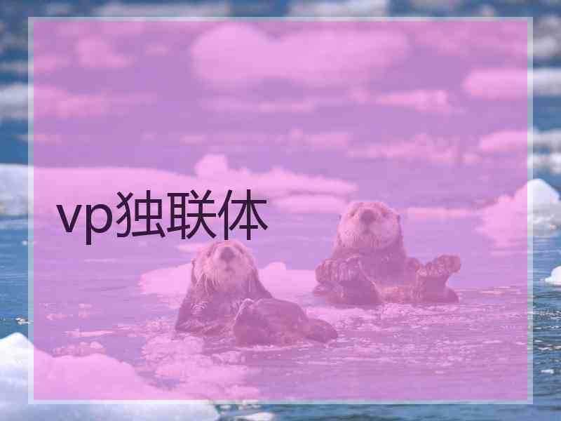 vp独联体