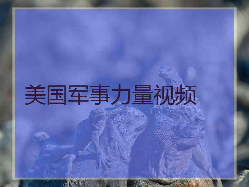 美国军事力量视频