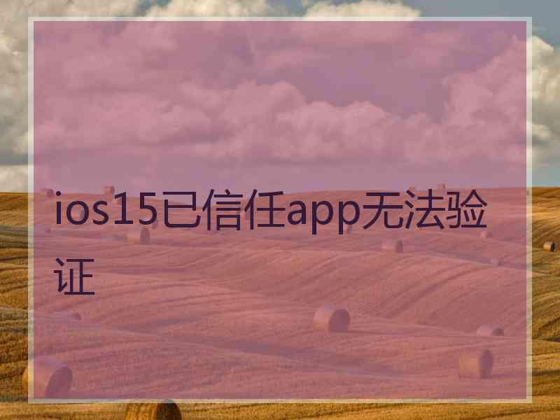 ios15已信任app无法验证