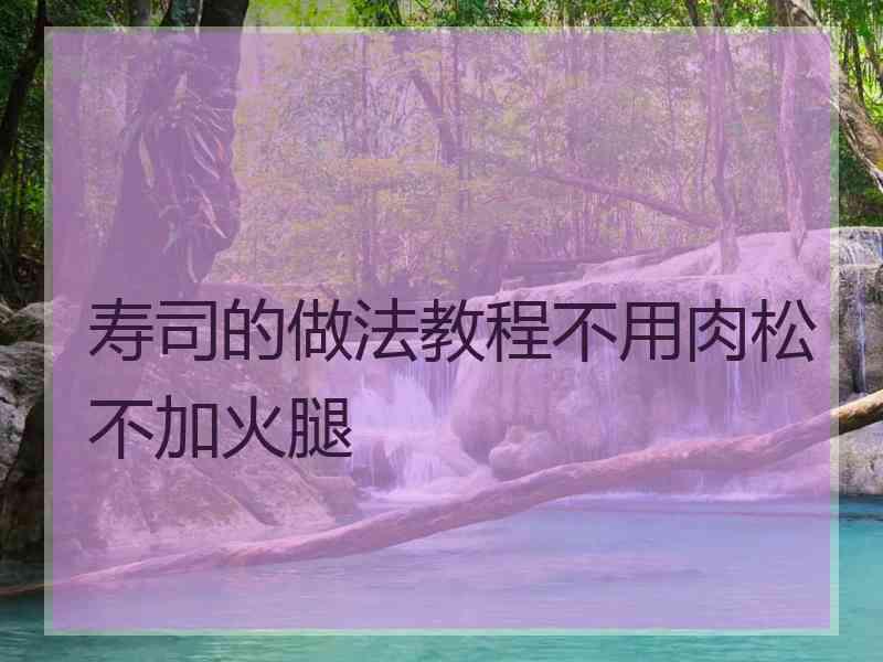 寿司的做法教程不用肉松不加火腿