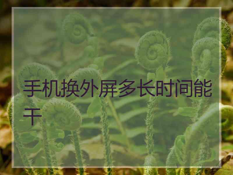 手机换外屏多长时间能干