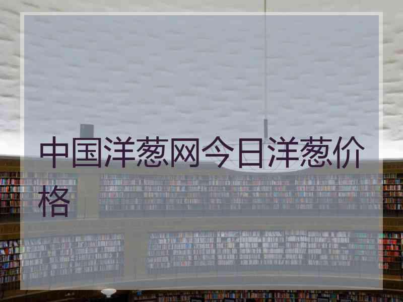 中国洋葱网今日洋葱价格
