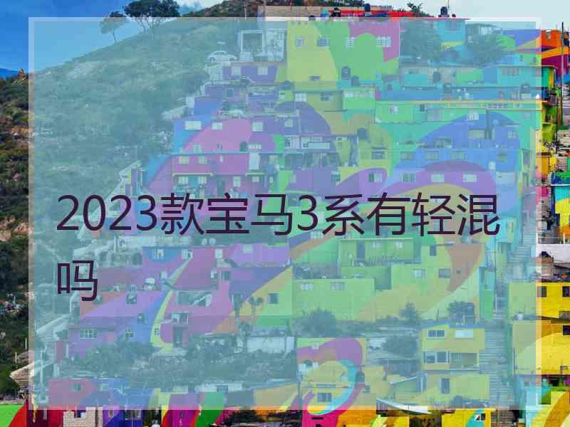 2023款宝马3系有轻混吗