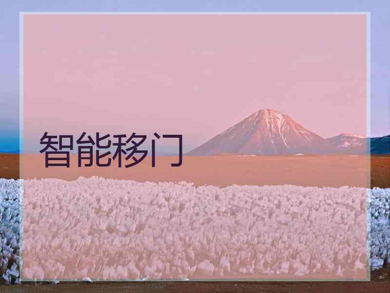 智能移门