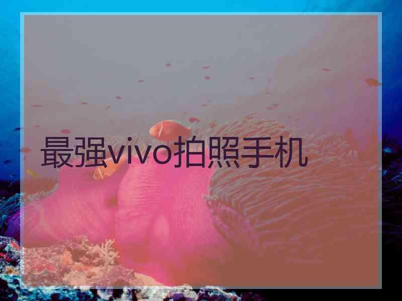 最强vivo拍照手机
