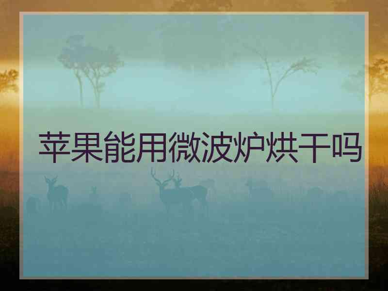 苹果能用微波炉烘干吗