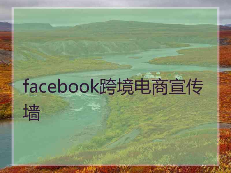 facebook跨境电商宣传墙