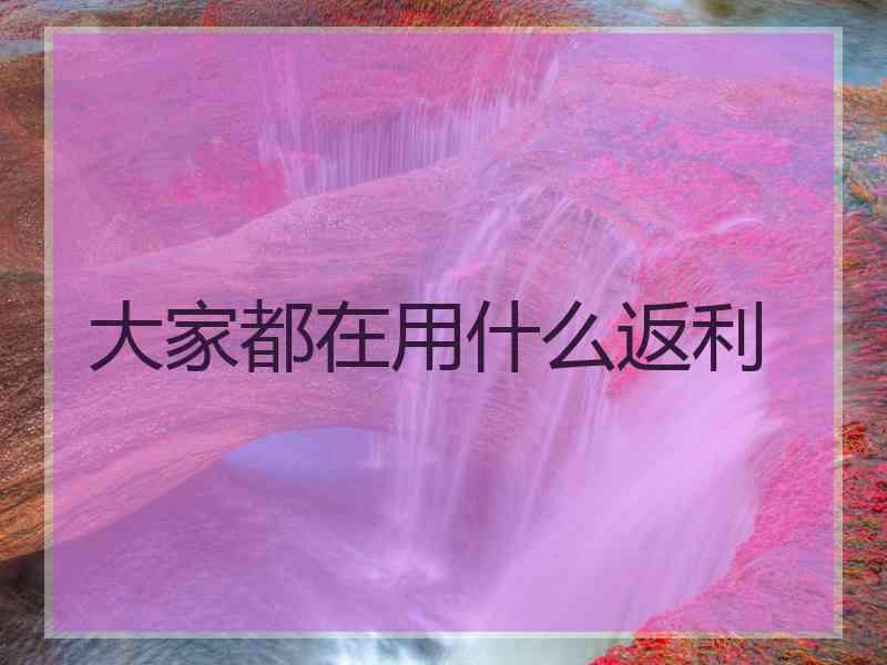 大家都在用什么返利