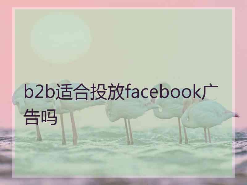 b2b适合投放facebook广告吗
