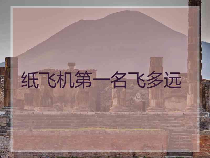 纸飞机第一名飞多远