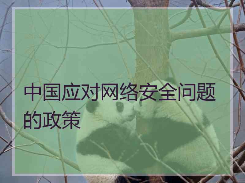 中国应对网络安全问题的政策