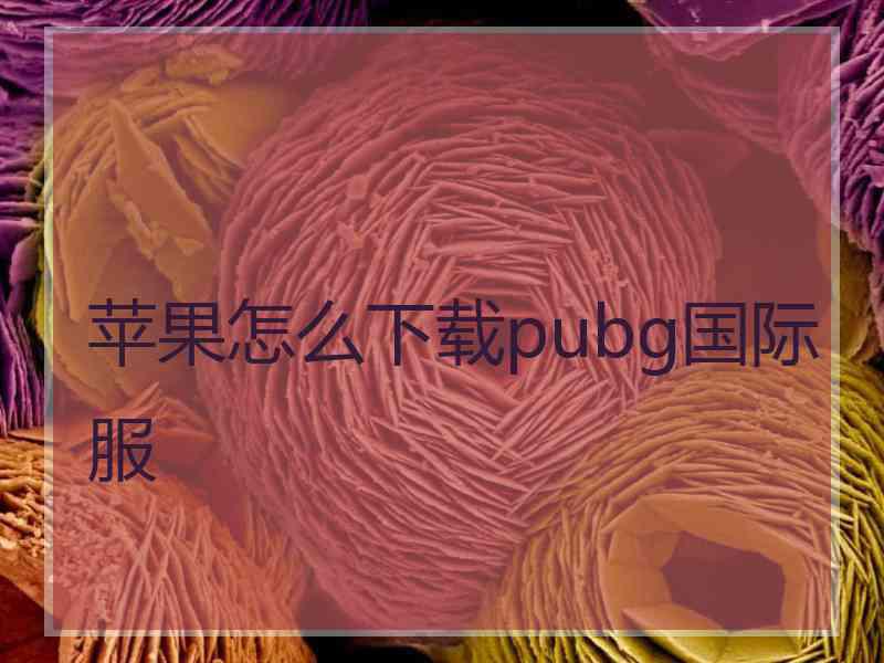 苹果怎么下载pubg国际服