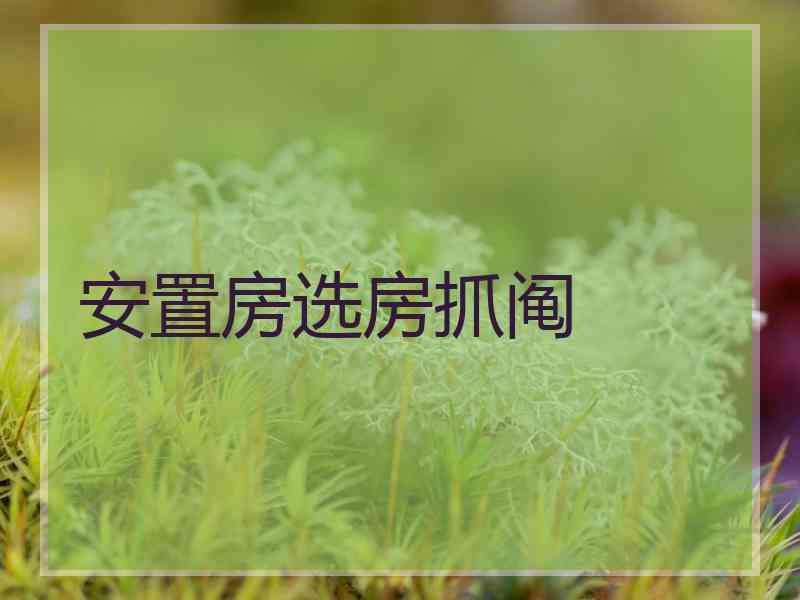 安置房选房抓阄