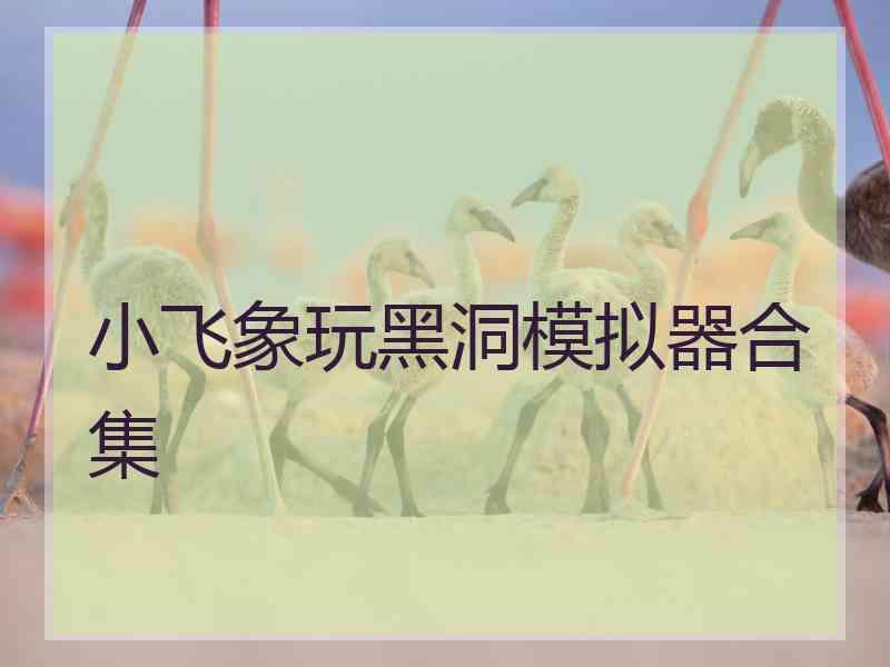 小飞象玩黑洞模拟器合集