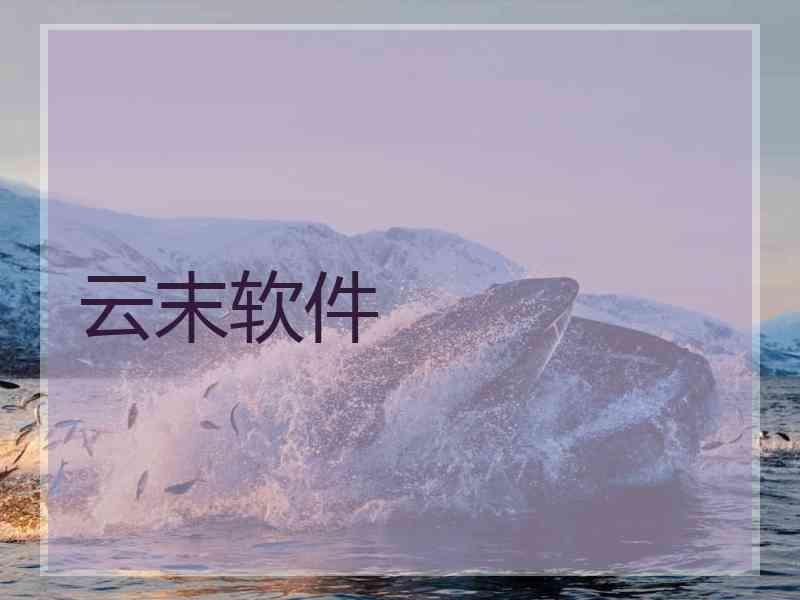 云末软件