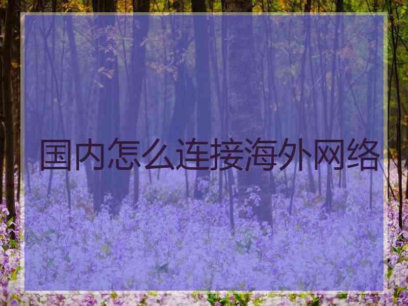 国内怎么连接海外网络