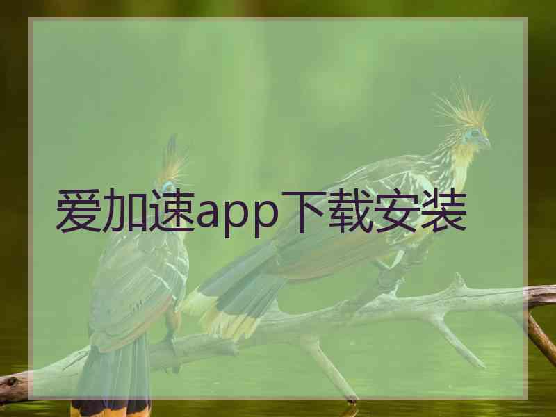 爱加速app下载安装
