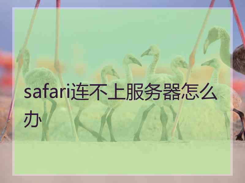 safari连不上服务器怎么办