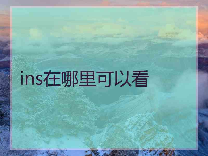ins在哪里可以看