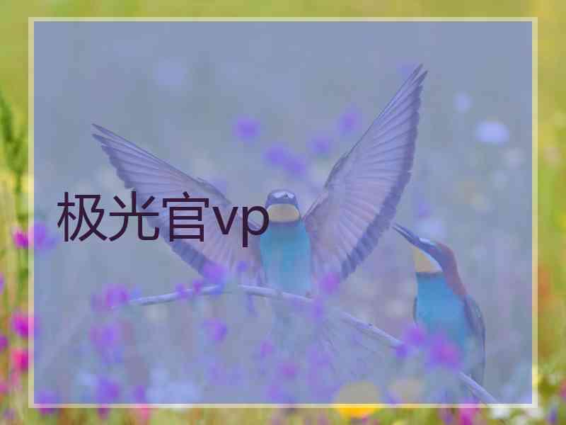 极光官vp