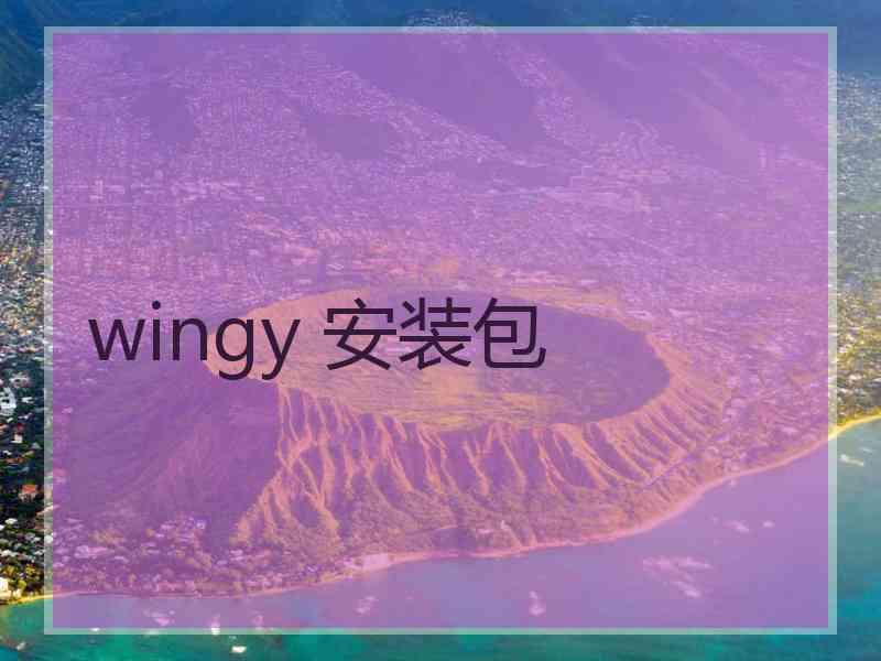 wingy 安装包