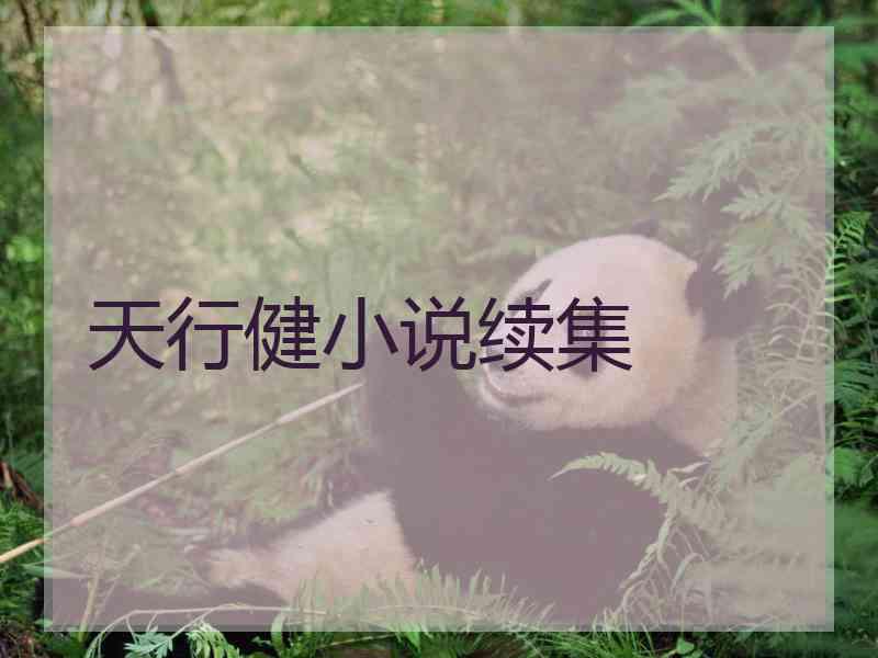 天行健小说续集