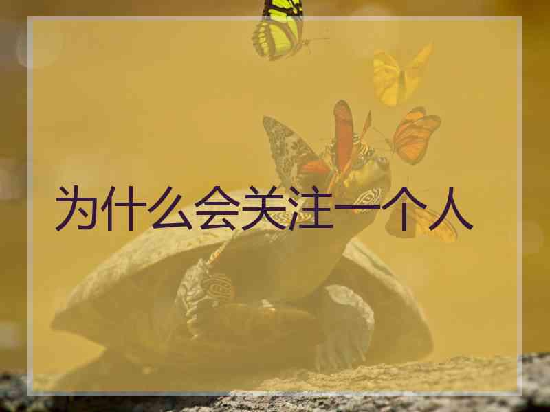 为什么会关注一个人