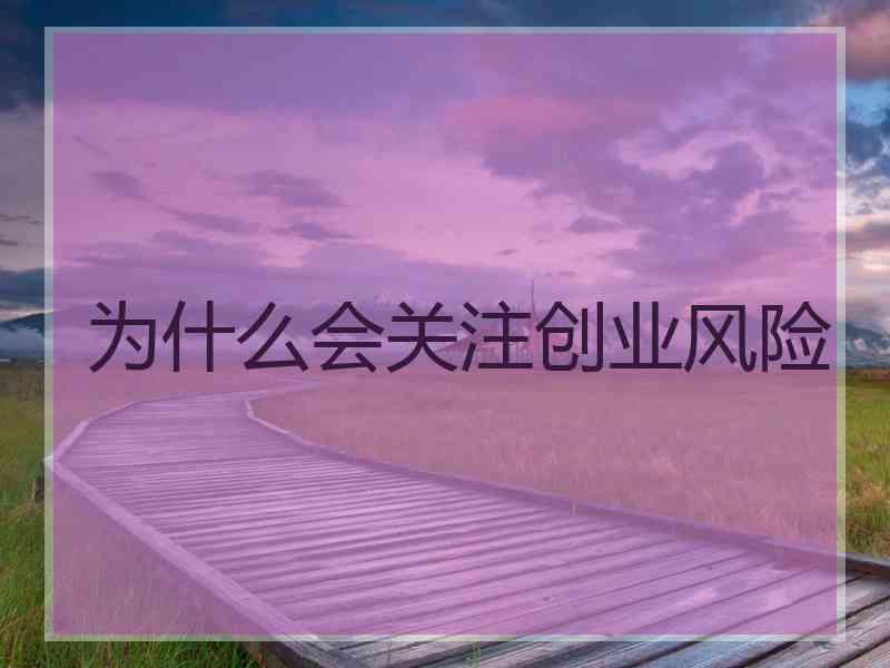 为什么会关注创业风险