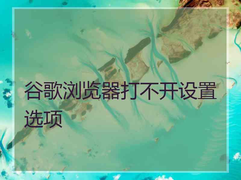谷歌浏览器打不开设置选项