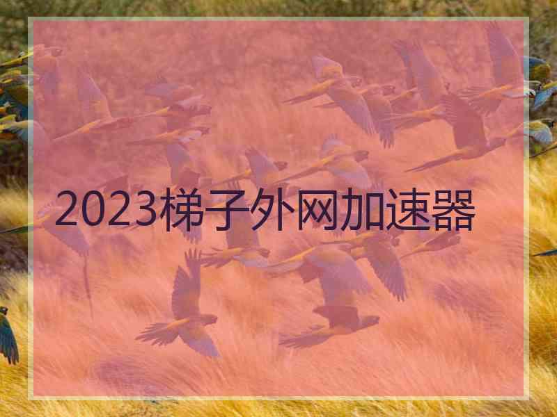 2023梯子外网加速器