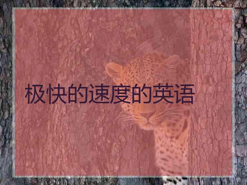 极快的速度的英语