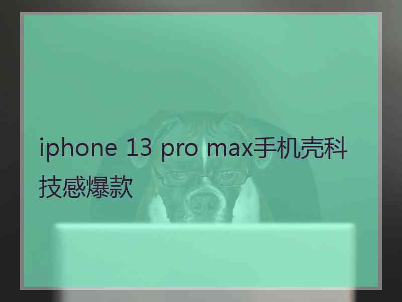 iphone 13 pro max手机壳科技感爆款