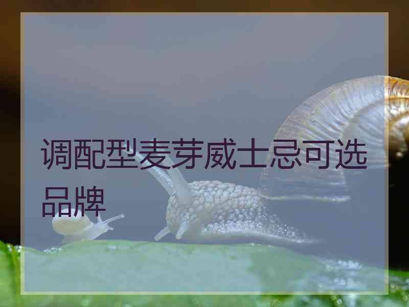 调配型麦芽威士忌可选品牌