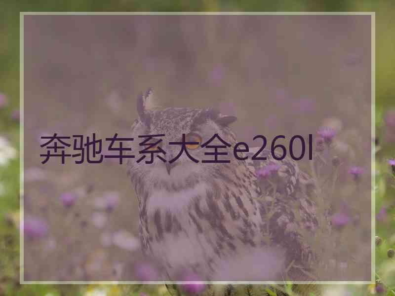 奔驰车系大全e260l