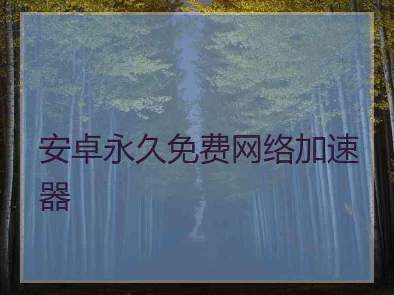 安卓永久免费网络加速器