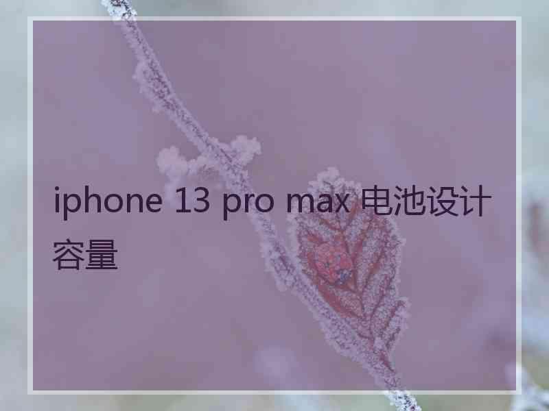 iphone 13 pro max 电池设计容量