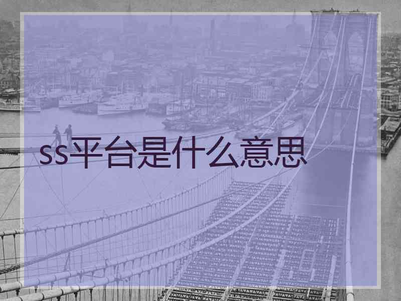 ss平台是什么意思