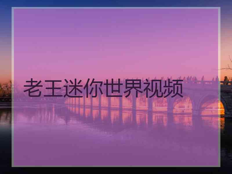 老王迷你世界视频