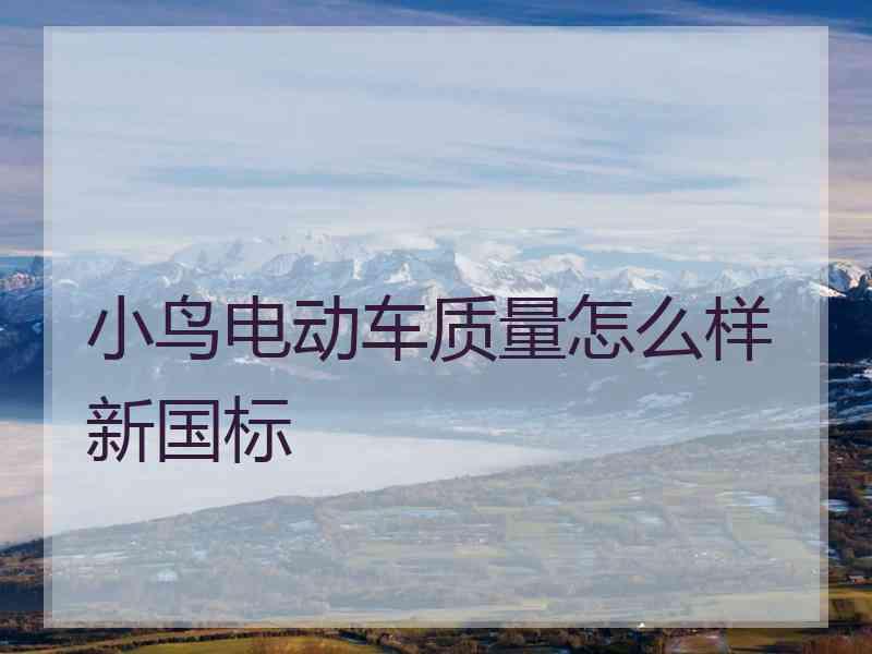 小鸟电动车质量怎么样新国标