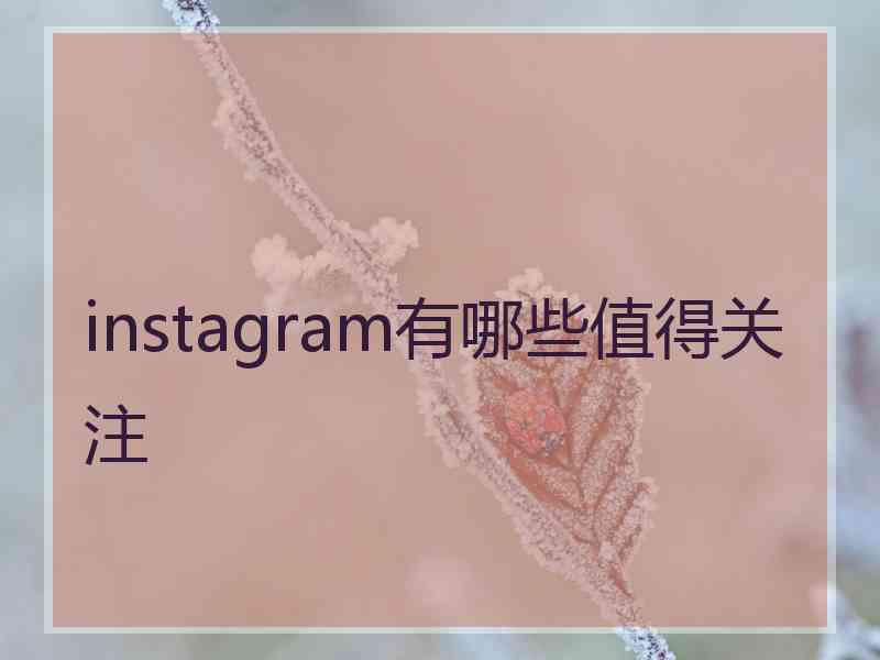 instagram有哪些值得关注
