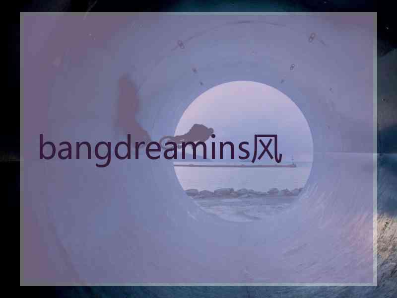 bangdreamins风