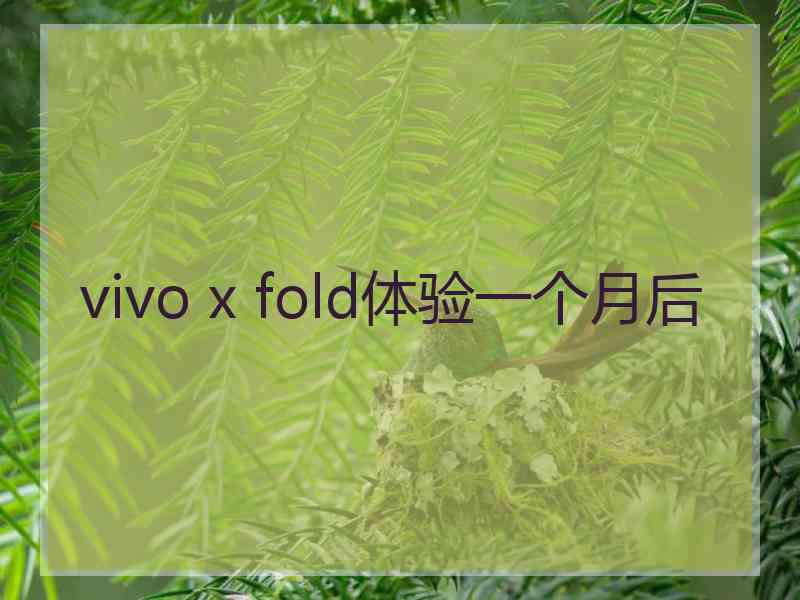 vivo x fold体验一个月后