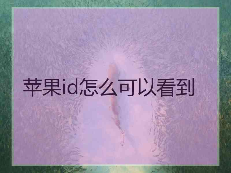苹果id怎么可以看到
