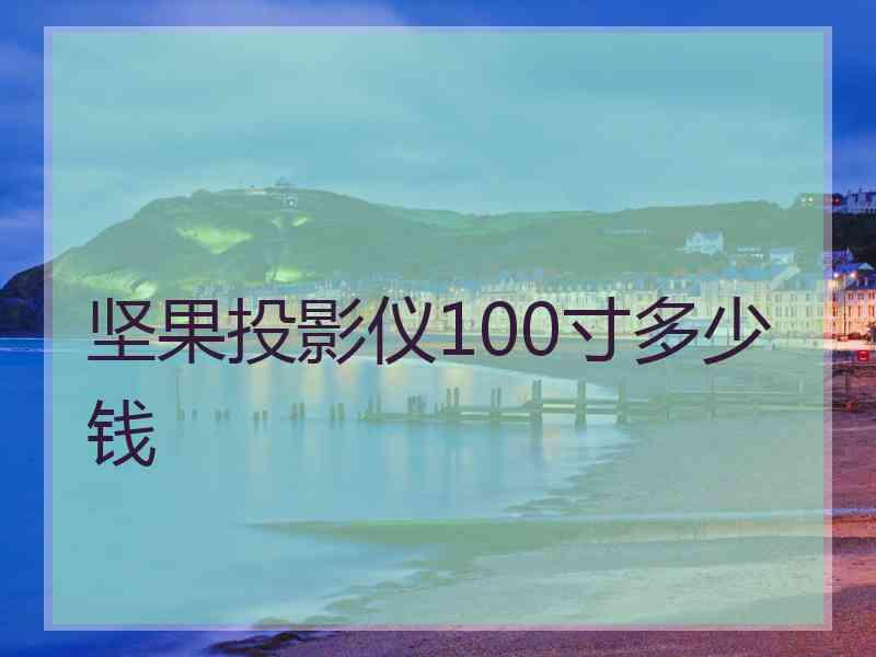 坚果投影仪100寸多少钱