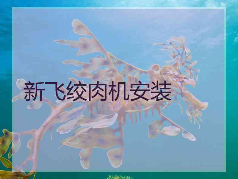 新飞绞肉机安装